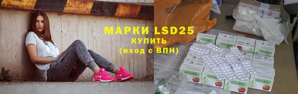 прущие грибы Абинск