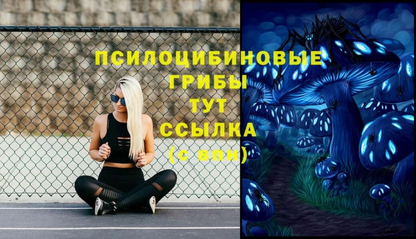 мдпв Абдулино