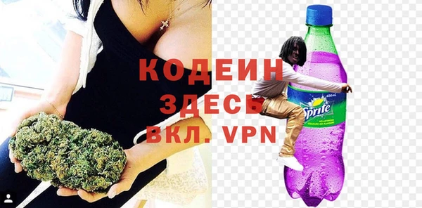 индика Дмитриев