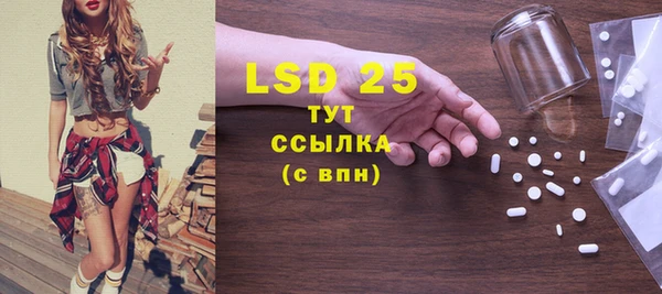 прущие грибы Абинск