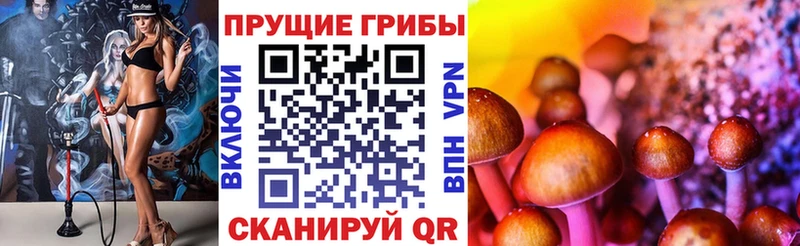 Псилоцибиновые грибы Psilocybe  Североморск 